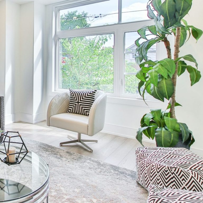 ein Sofa mit Pflanzen